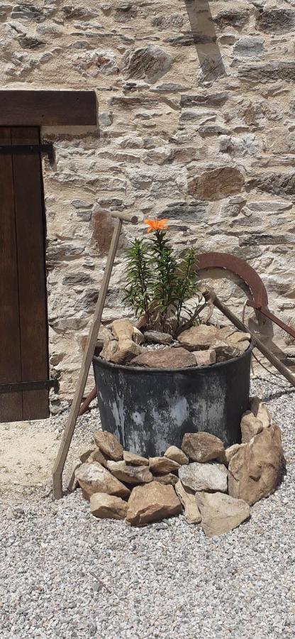 Chambre Dhotes B&B Le Figuier Benayes Luaran gambar